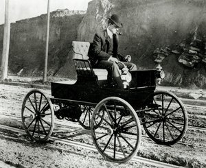 Woods Electric Buggy de Unknown